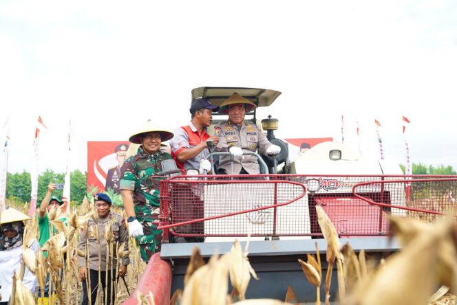 
Tingkatkan Kesejahteraan Petani, Irwasum Polri Pimpin Panen Jagung Serentak di Madiun