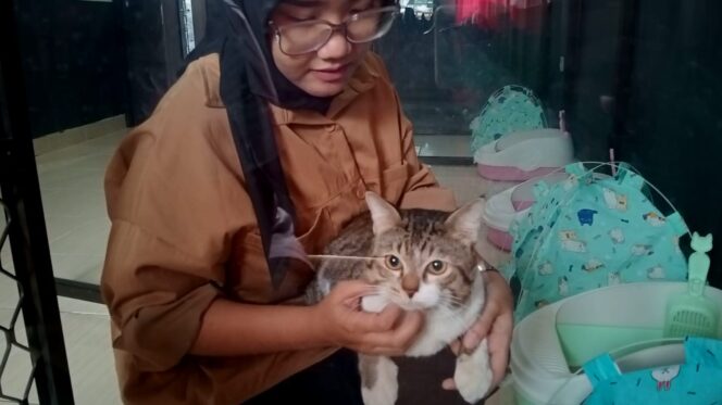 
Jasa Penitipan Hewan di kota Madiun Meningkat Jelang Lebaran