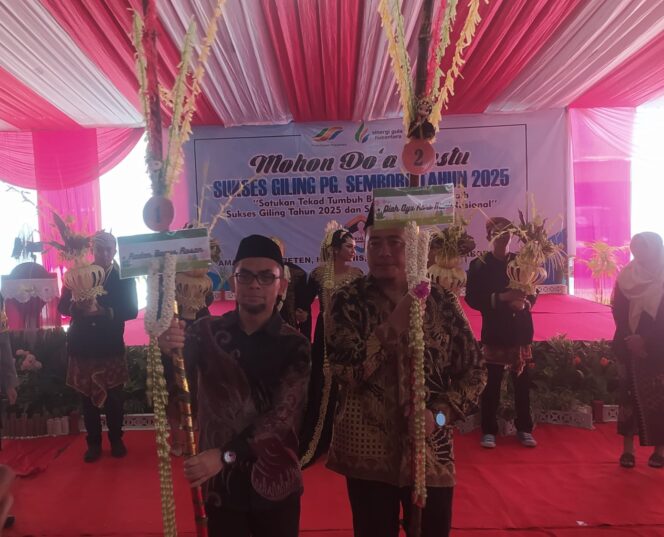 
Ritual Pernikahan Tebu Menandai Dimulainya Musim Giling Tebu PG Semboro Jember