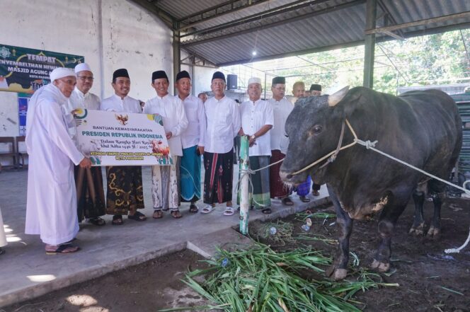 
Pemkot Pasuruan Terima Sapi Kurban dari Presiden Prabowo