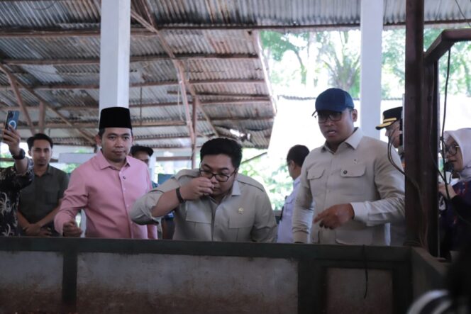 
Bupati Fawait Bahagia Pemerintah Pusat Beri Perhatian Pertanian di Jember
