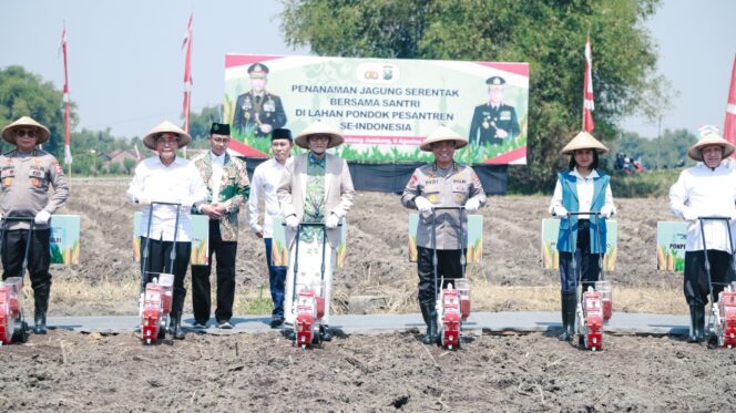
Wujudkan Swasembada Pangan, Polri Gandeng Ponpes Tanam Jagung Serentak di Lahan Ponpes Tebuireng Jombang