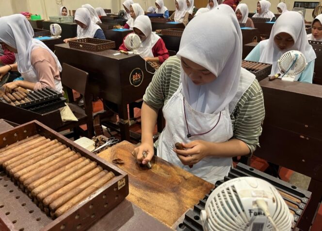 
BIN Cigar, Cerutu Jember yang Menembus Pasar Dunia