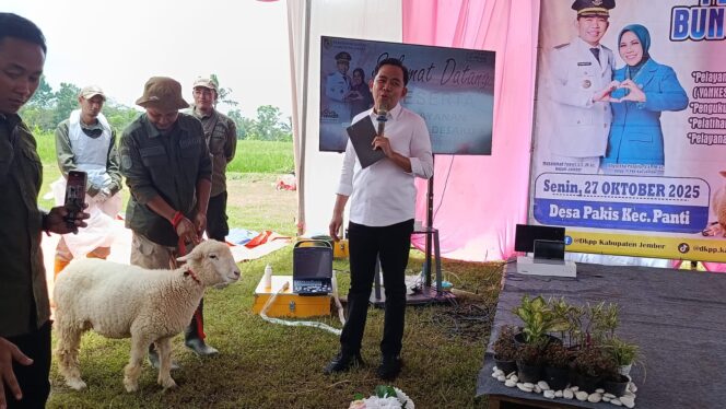 
Bupati Fawait Kagum Teknologi USG Domba, Dorong Pembentukan “Kecamatan Ternak” di Jember
