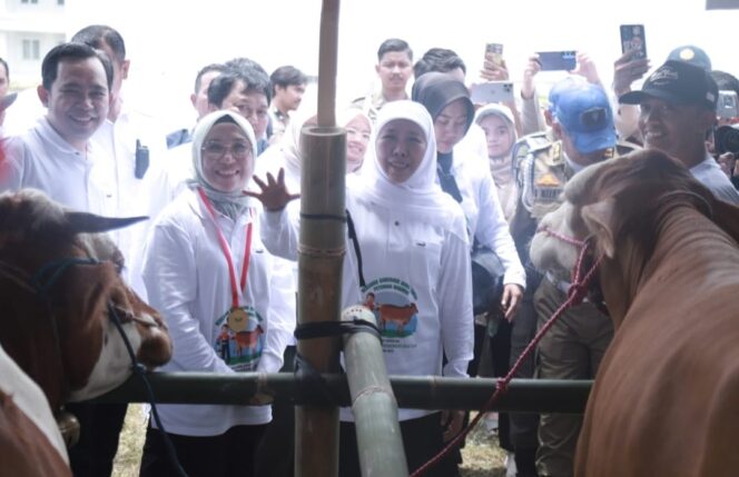 
Ribuan Peternak Padati City Forest Jember, Jawa Timur Tancap Gas Menuju Swasembada Daging