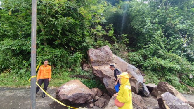 
Longsor Tutup Akses Jalan Desa di Kalisat, BPBD Jember Evakuasi Batu Raksasa