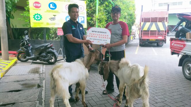 
MPM Honda Jatim Konsisten Berbagi Hewan Kurban, Perkuat Semangat Kebersamaan di Hari Raya Idul Adha