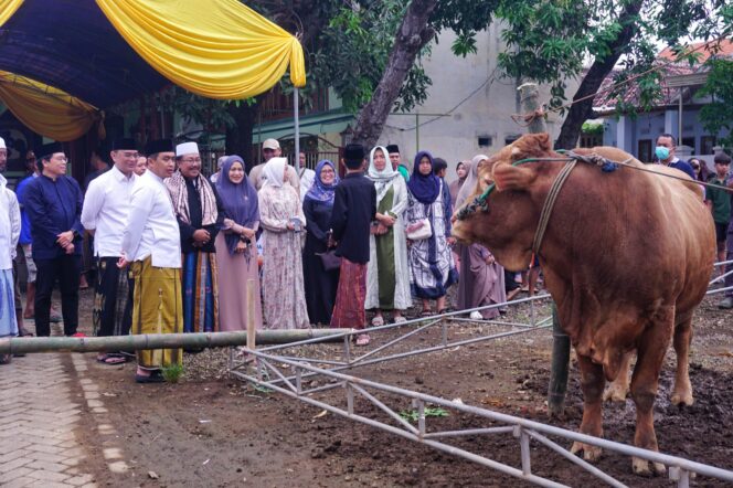 
Pemkot Pasuruan Salurkan 86 Hewan Kurban