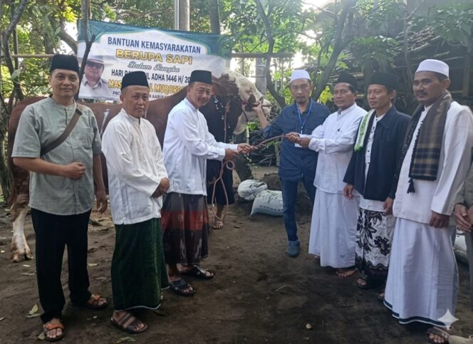 
Pemkab Probolinggo Serahkan Sapi Kurban Presiden Prabowo ke Masjid Besar Darul Muqorrobin Kuripan