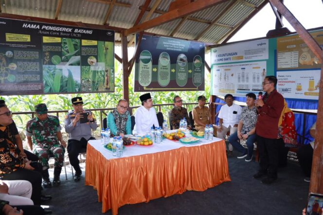 
Inkubator Agribisnis UKRI Hadir di Jember, Dorong Hilirisasi Jagung dan Lahirkan Agropreneur Muda