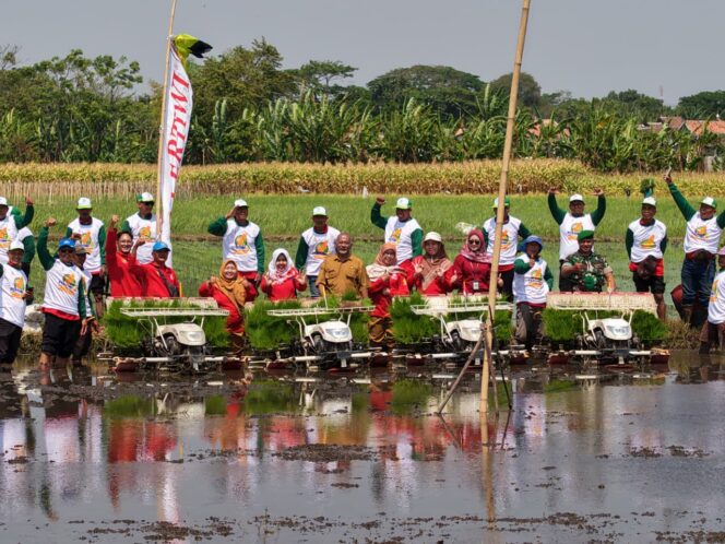 
Diperta Kabupaten Probolinggo Gencarkan Gerakan Tanam Padi Dukung Swasembada Pangan